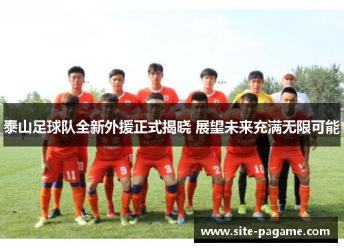 泰山足球队全新外援正式揭晓 展望未来充满无限可能 泰山足球队全新外援正式揭晓 展望未来充满无限可能