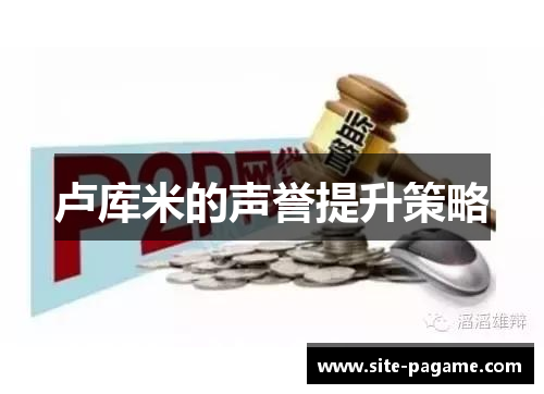 卢库米的声誉提升策略