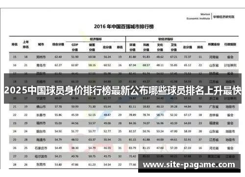 2025中国球员身价排行榜最新公布哪些球员排名上升最快