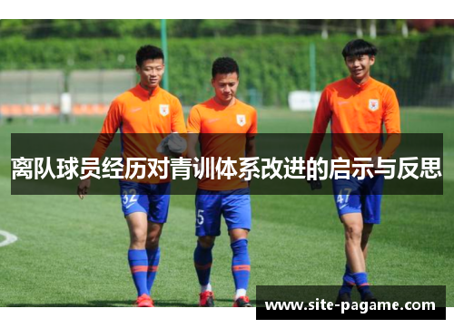 离队球员经历对青训体系改进的启示与反思