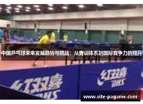 中国乒乓球未来发展趋势与挑战：从青训体系到国际竞争力的提升