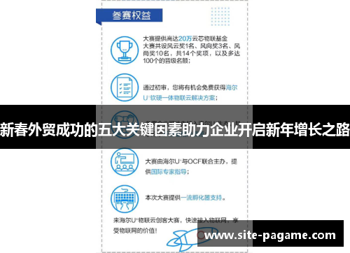 新春外贸成功的五大关键因素助力企业开启新年增长之路