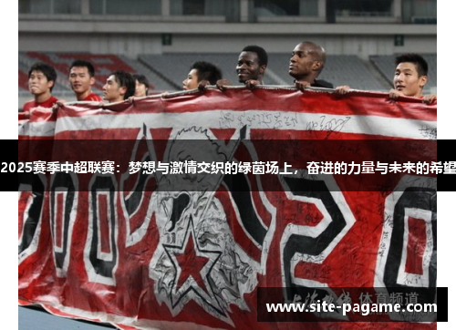 2025赛季中超联赛：梦想与激情交织的绿茵场上，奋进的力量与未来的希望