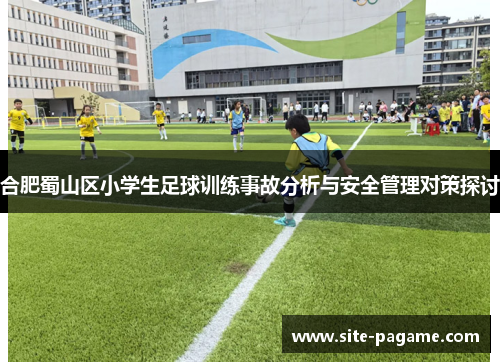 合肥蜀山区小学生足球训练事故分析与安全管理对策探讨