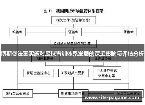 博斯曼法案实施对足球青训体系发展的深远影响与评估分析