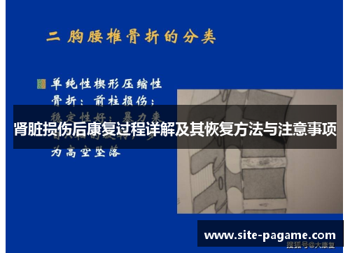 肾脏损伤后康复过程详解及其恢复方法与注意事项