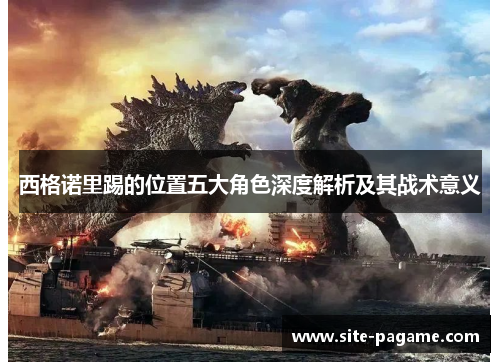 西格诺里踢的位置五大角色深度解析及其战术意义