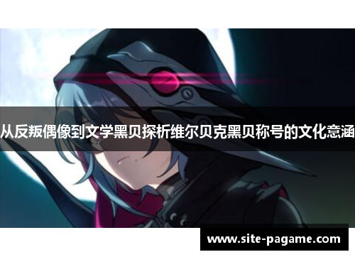 从反叛偶像到文学黑贝探析维尔贝克黑贝称号的文化意涵